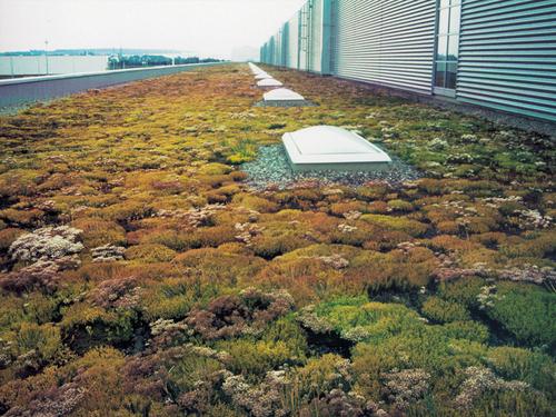 Click on the photo for the original