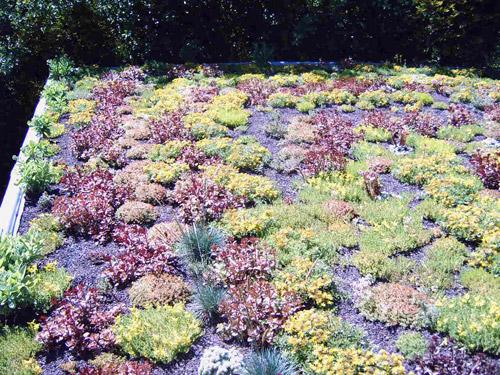 Click on the photo for the original